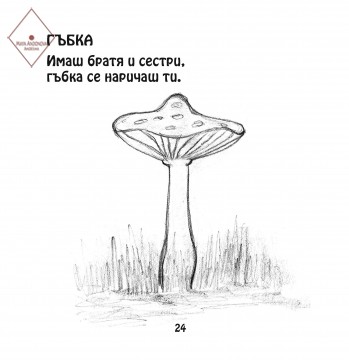 Гъбка